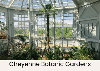 00b50e94 e4f7 4e2d 976a b2de35ae6eba homerunner