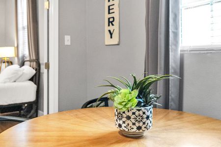 Airy dining nook w/ a potted plant & natural light flowing through the space.