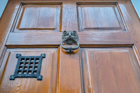 Ornate lion's head door knocker — a timeless touch of New Orleans craftsmanship.