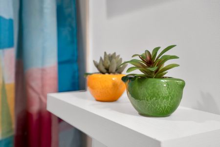 Vibrant orange & green succulent pots add a playful, nature-inspired pop of color.
