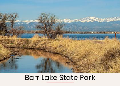 30c978c9 2591 4848 9e09 0c638c69d8ae homerunner