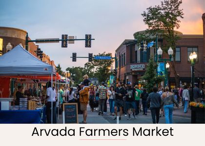 3c72cab3 7e6b 4ec7 9de1 0b83ae5c6da4 homerunner