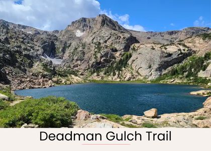 4a41aed7 0f4a 4e83 8471 e661e96fe2f3 homerunner