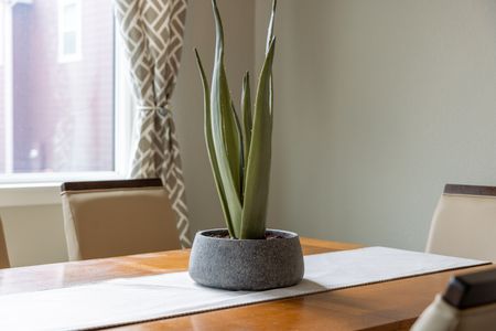 4be0a207 8974 4a9c 8b38 af706674b3f1 homerunner