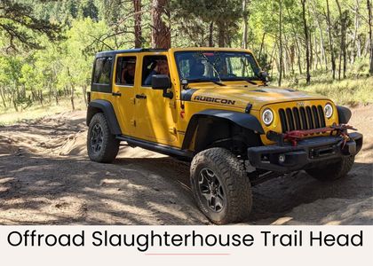 5973c992 2176 43a3 b6e0 47df4b1d00aa homerunner