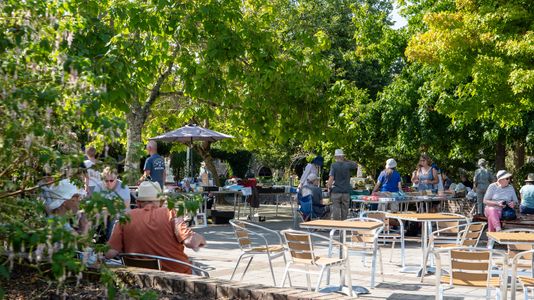 5d319abd 9af0 4087 b25a 433dd91d07d7 homerunner