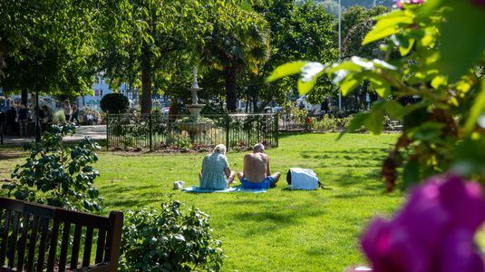 6a7bed07 799c 4e27 920d bef04ca78f15 homerunner