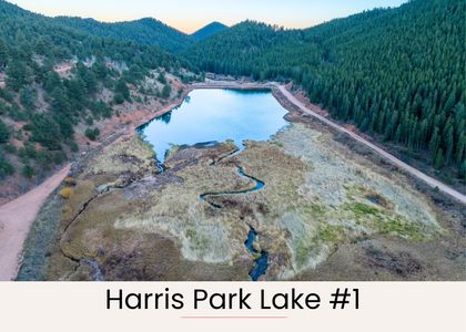 6be81f84 580a 42d0 9793 e85696998916 homerunner