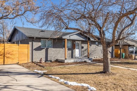 708ddf34 7df9 4b8f 9d04 63845c04f688 homerunner