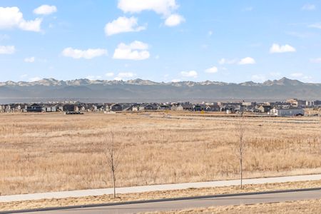 77fc4de1 111c 4394 a964 7357ee38d861 homerunner