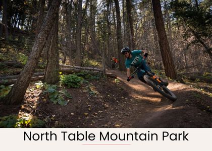 793c30b7 192f 4293 82dd 1a4588934990 homerunner