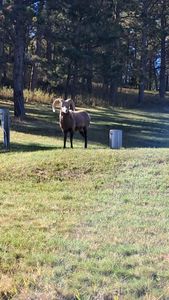 85182e00 bb13 492f a311 66f9c0d1cf9e homerunner