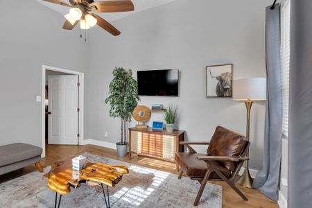 Cozy gray sofa w/ vibrant throw pillows & local Book NOLA touches.