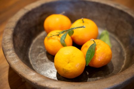 98a401da 8a04 4d6f 9075 bb63627d8331 homerunner