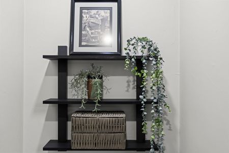 9bf3dacc eb4c 4be8 88e0 5cfddc7015d4 homerunner