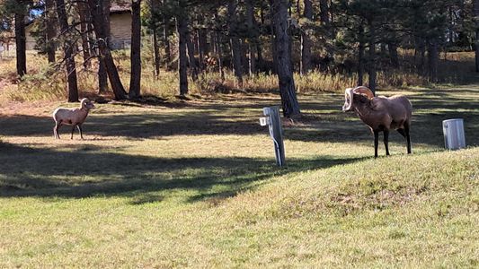 9de8a830 a9b2 4995 a43c 9ac9f73b6355 homerunner