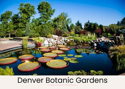 9f633a1a 2e06 4758 8c7c c831e76ccf21 homerunner