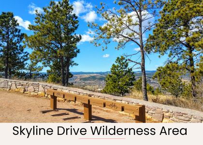 Ad882a7b ad1e 404c b6f7 55d218a59941 homerunner