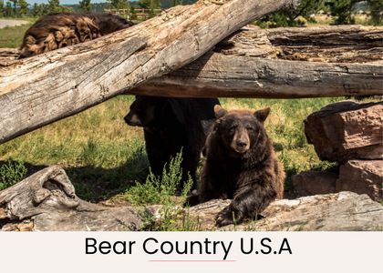 B127769e e2b7 4ea5 9223 917fc643bcd7 homerunner