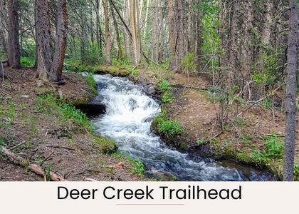 Bbdcd73a 6b07 44e5 8328 bc83bded8bb1 homerunner