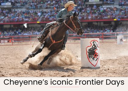 C6e90b7c 08ea 4f10 af50 c1691b5c1b86 homerunner