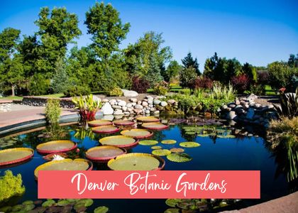 Family &Amp; Dog-Friendly Retreat With Fire Pit 65 Cadeee2f 6ee5 484d ad8f 35981878ab4e homerunner