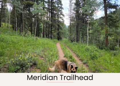 Cf006016 c3ab 4e14 b582 793829d188ad homerunner