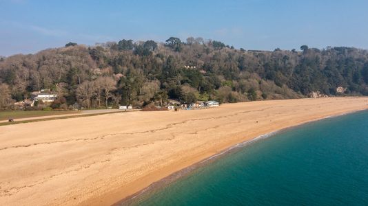 D3bef558 8a42 4c51 a3b3 58a5cd6d4434 homerunner