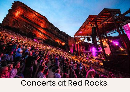 D7ef626a a061 4544 bfc5 63ca82e17723 homerunner