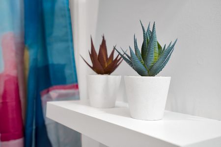 Fresh succulents & white planters bring a bright, airy touch to the space.