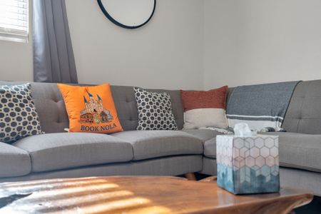 Cozy gray sofa w/ vibrant throw pillows & local Book NOLA touches.