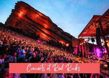 Family &Amp; Dog-Friendly Retreat With Fire Pit 63 Ea6df06a 8f9d 485f bd88 cbf8d262e1c0 homerunner