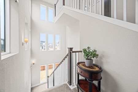 F1c78274 56b9 4bd0 811e 1e4345c59c32 homerunner