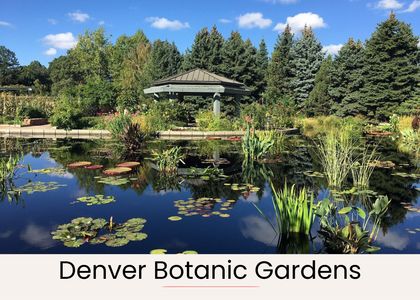 F4bcb782 f084 4ea4 bce7 3f144031fcd5 homerunner