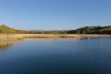 F6f44b4b c3d4 4f7c 9c3f 90b3944210ca homerunner