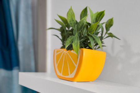 Bold citrus-yellow planter w/ lush greenery brings a bright, tropical energy indoors.