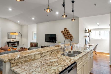 Granite island overlooking the lounge