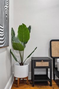 Leafy greenery & a rattan nightstand bring a relaxed, tropical vibe