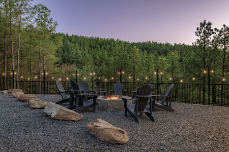 Outdoor seating surrounding a fire pit in a wooded yard