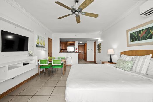 Enjoy year-round comfort thanks to the efficient ceiling fan, enhancing the studio's inviting ambiance