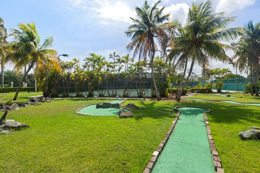 Step into our tropical paradise with a charming mini golf course, nestled among majestic palm trees.