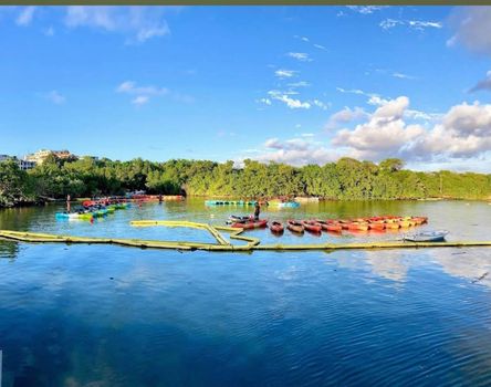 Paddle your way to adventure! Explore tranquil waters surrounded by lush mangroves, with a vibrant array of kayaks and paddleboards ready for action.