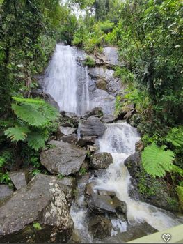 Pure bliss! Refreshing natural pool in a lush rainforest setting.