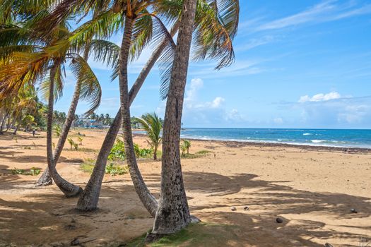 Beach Bliss Just Steps Away: Imagine waking up and walking directly to this pristine sandy beach, with crystal-clear waters and swaying palm trees.
