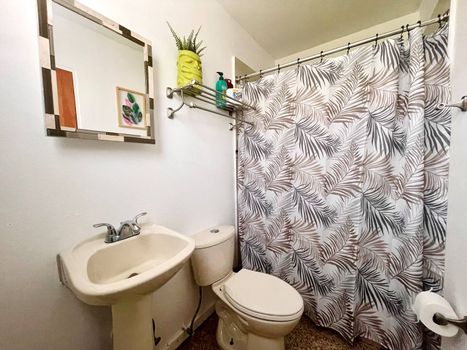 Sparkling clean bathroom with a fresh design.