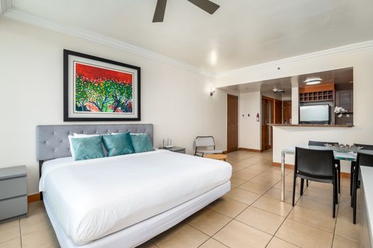 Relax and unwind in your thoughtfully designed studio. Enjoy a plush King bed and a convenient kitchenette.