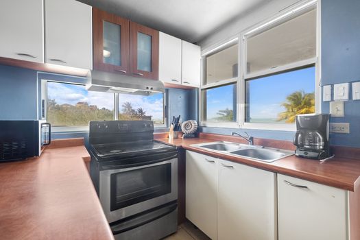 Experimente una cocina moderna con accesorios elegantes y abundante luz natural, que cuenta con fregadero, estufa y horno blancos, y una vista pintoresca de la playa a través de la ventana.