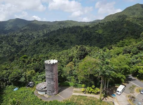 Discover a historic tower nestled within a stunning lush rainforest. Experience breathtaking views and immerse yourself in nature's beauty.
