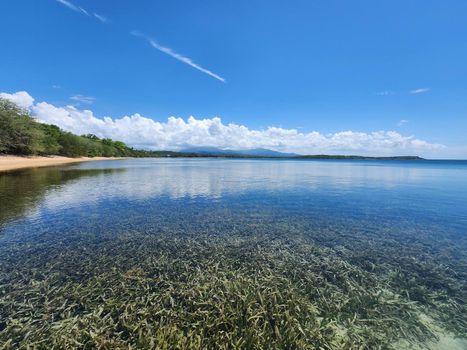 Dive into crystal-clear waters! This stunning view showcases pristine reflections, a vibrant seabed, and a serene shoreline under a clear sky.