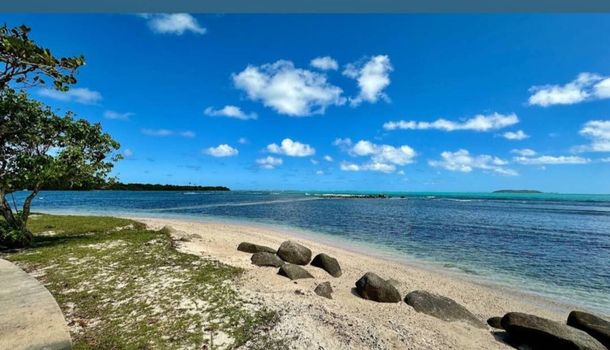 Experience pure tranquility on this stunning beach. Crystal-clear waters meet soft sand, with a mesmerizing horizon under a vibrant blue sky.